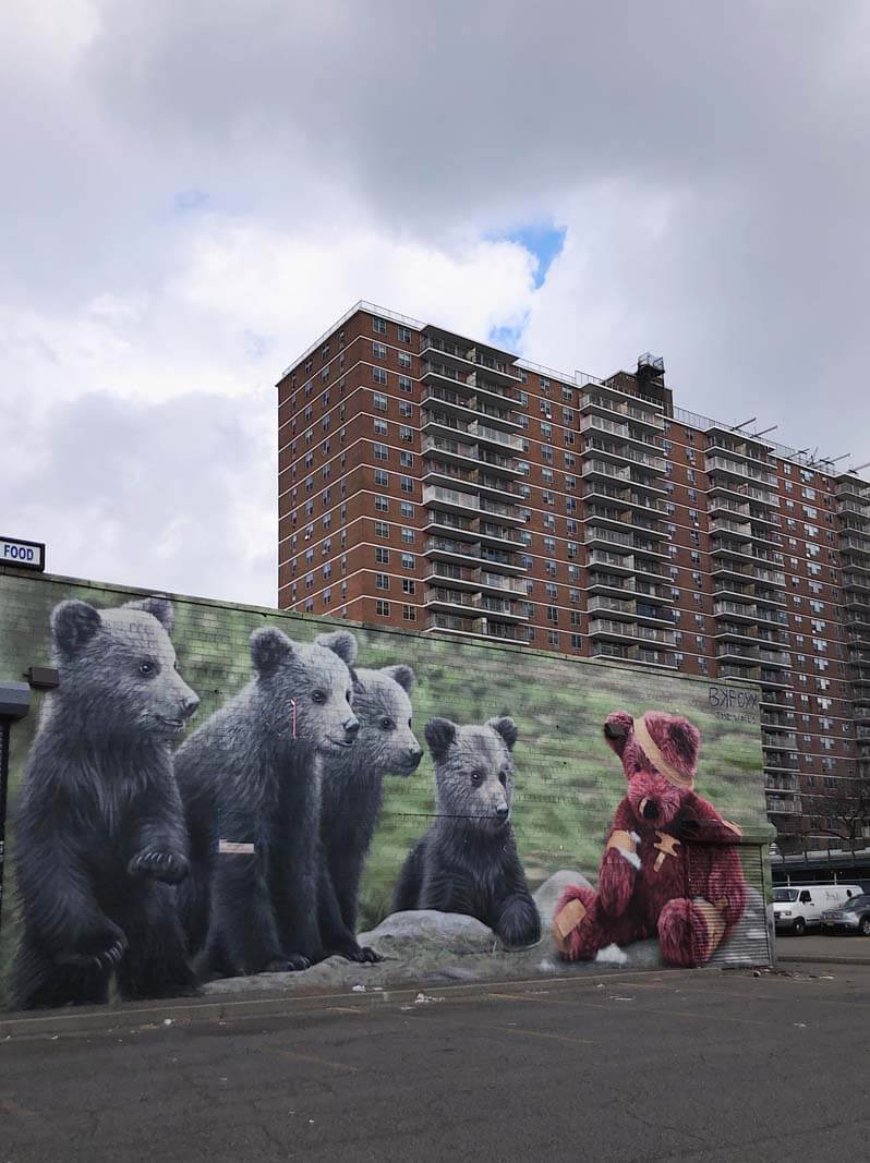 BK FOXX Bear muurschildering in Williamsburg Brooklyn