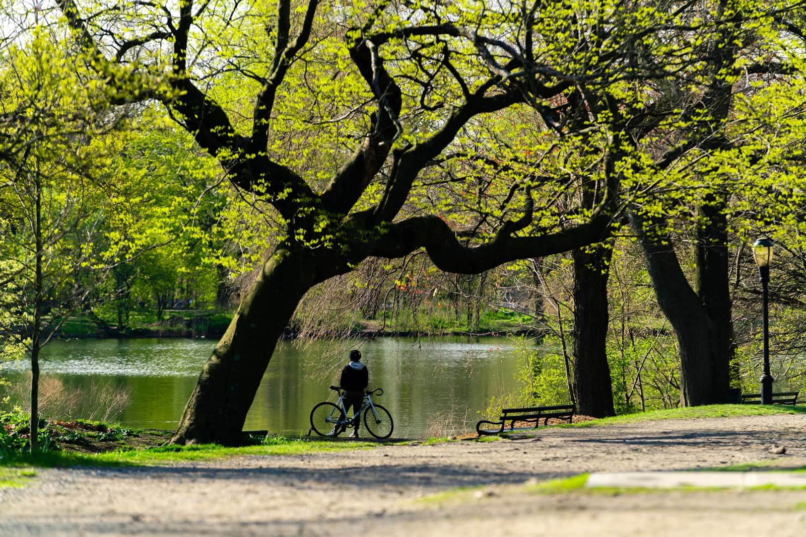 Cyclist taking a break in Prospect Park Brooklyn