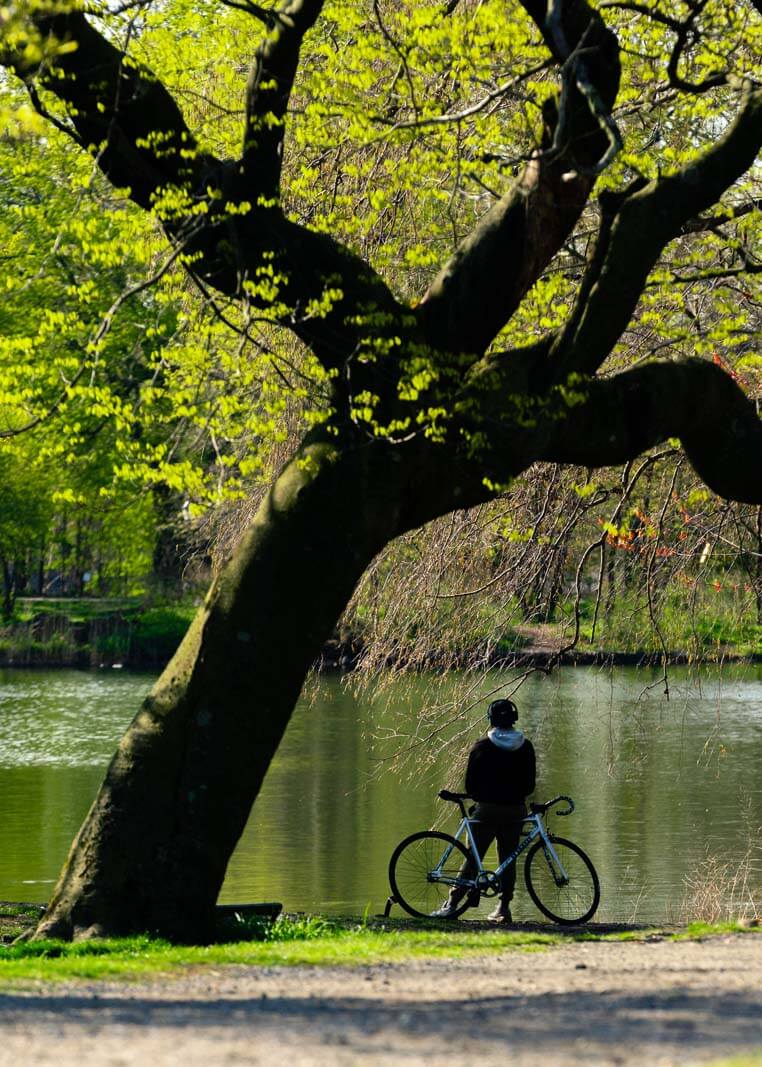 bicycle and rider taking a break under a tree in prospect park