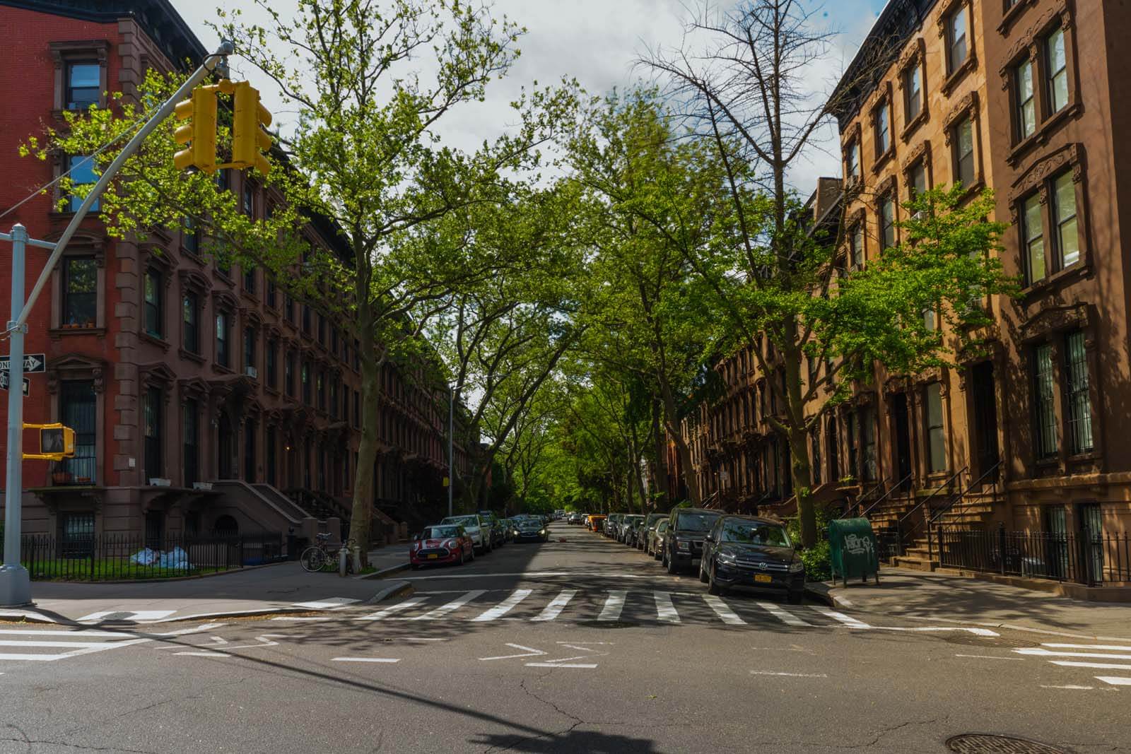 Brownstones in Fort Greene Brooklyn