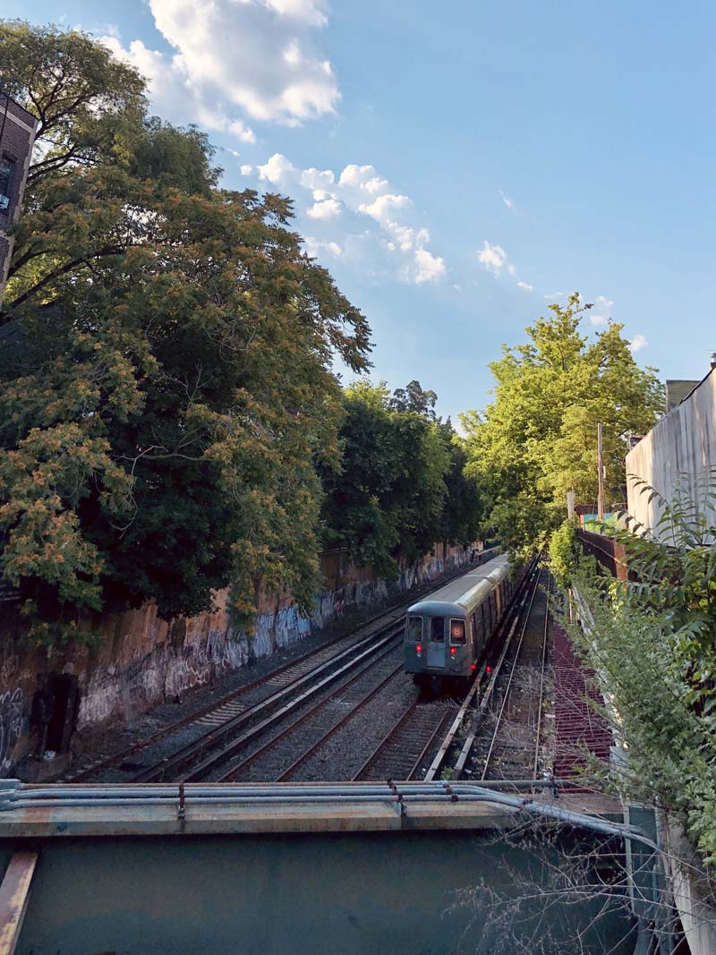 Cortelyou Road Station in Victorian Flatbush and Ditmas Park in Brooklyn