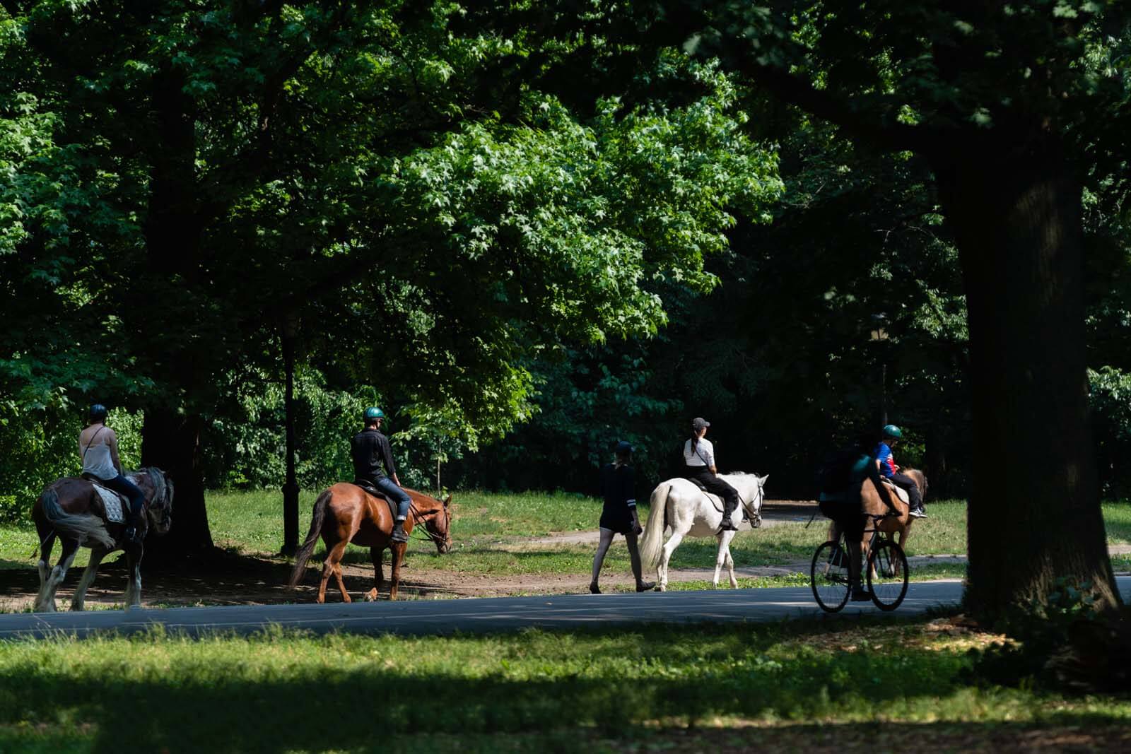 Horseback Riding in Prospect Park in Brooklyn