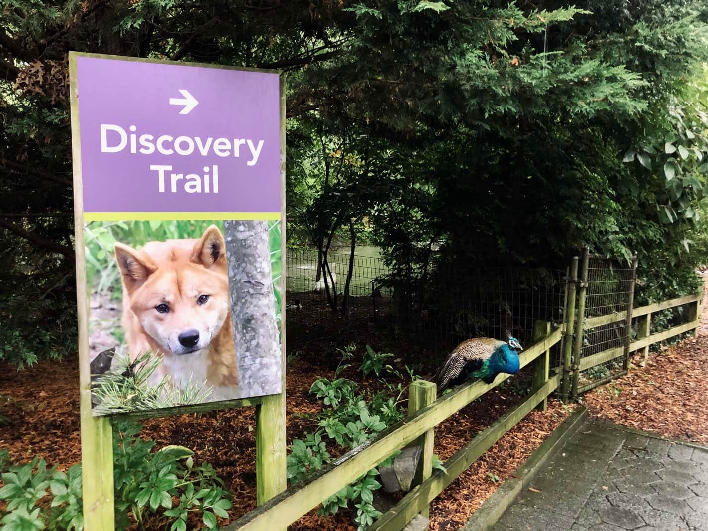 Discovery Trail Sign at Prospect Park Zoo