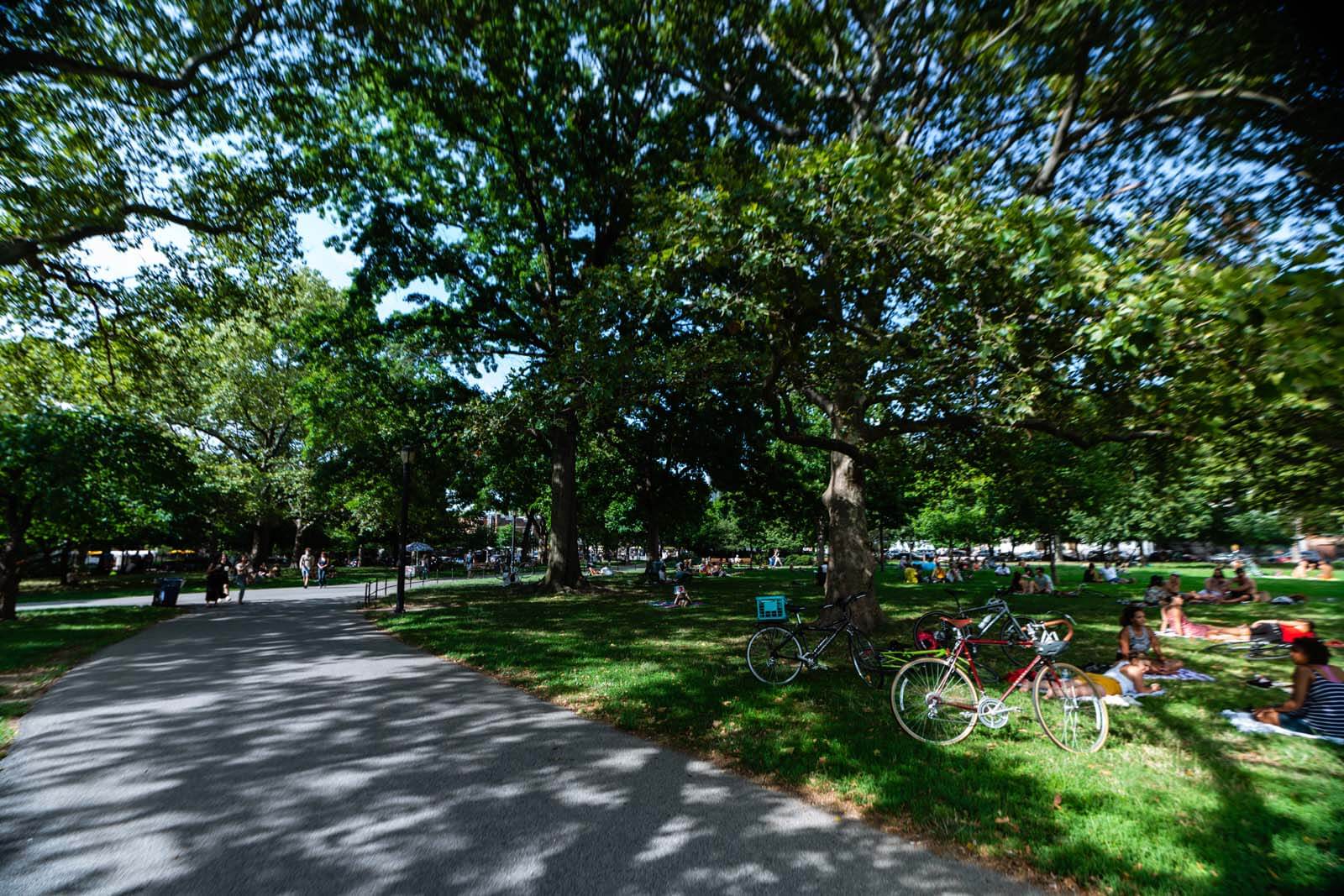 McCarren Park in Brooklyn