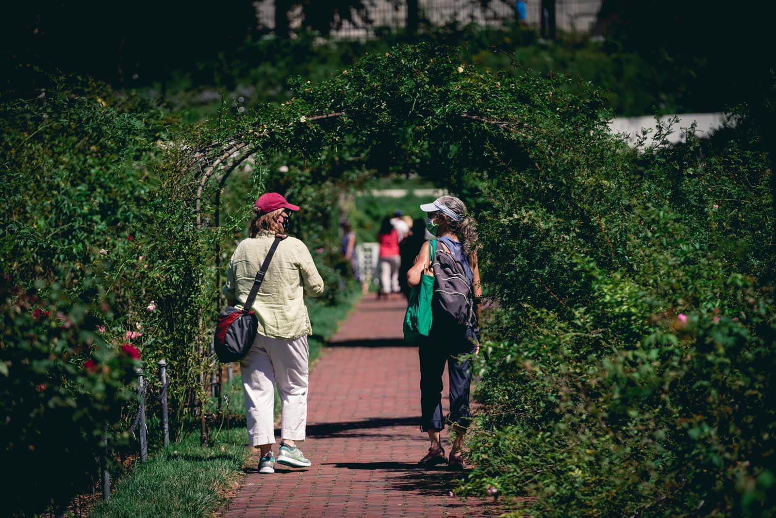 Rose Garden at Brooklyn Botanic Garden