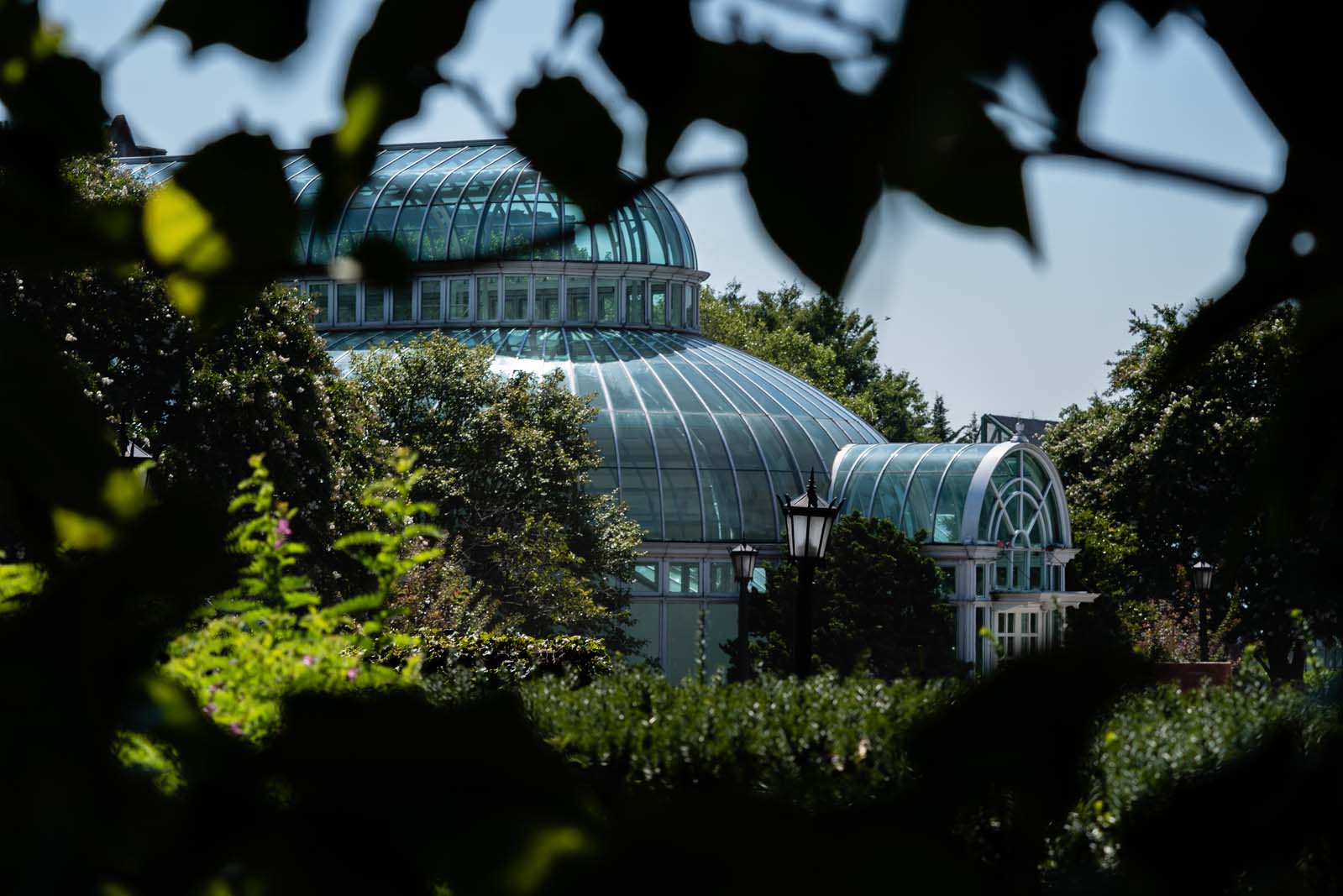 The conservatory at the Brooklyn Botanic Garden