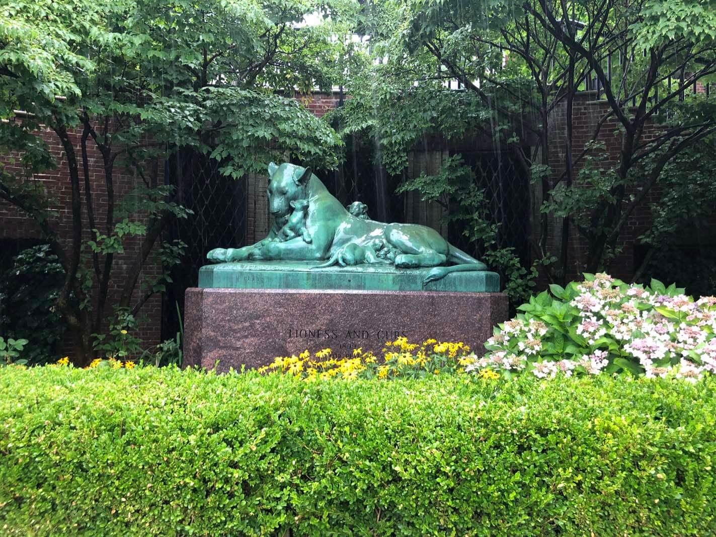 The lioness and her cub statue at Prospect Park Zoo