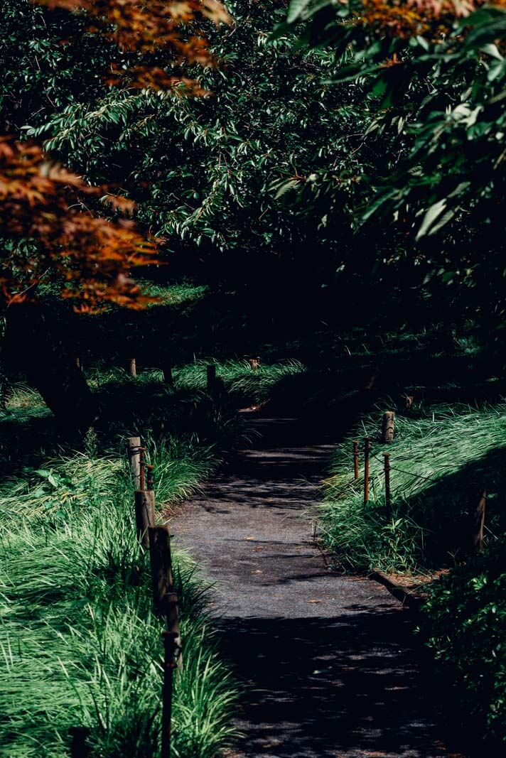 grassy pathway at Brooklyn Botanic Garden