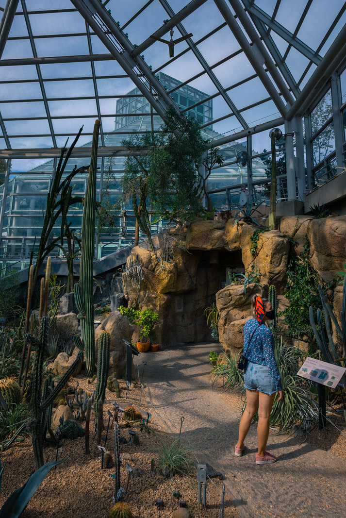 inside the conservatory at Brooklyn Botanic Garden