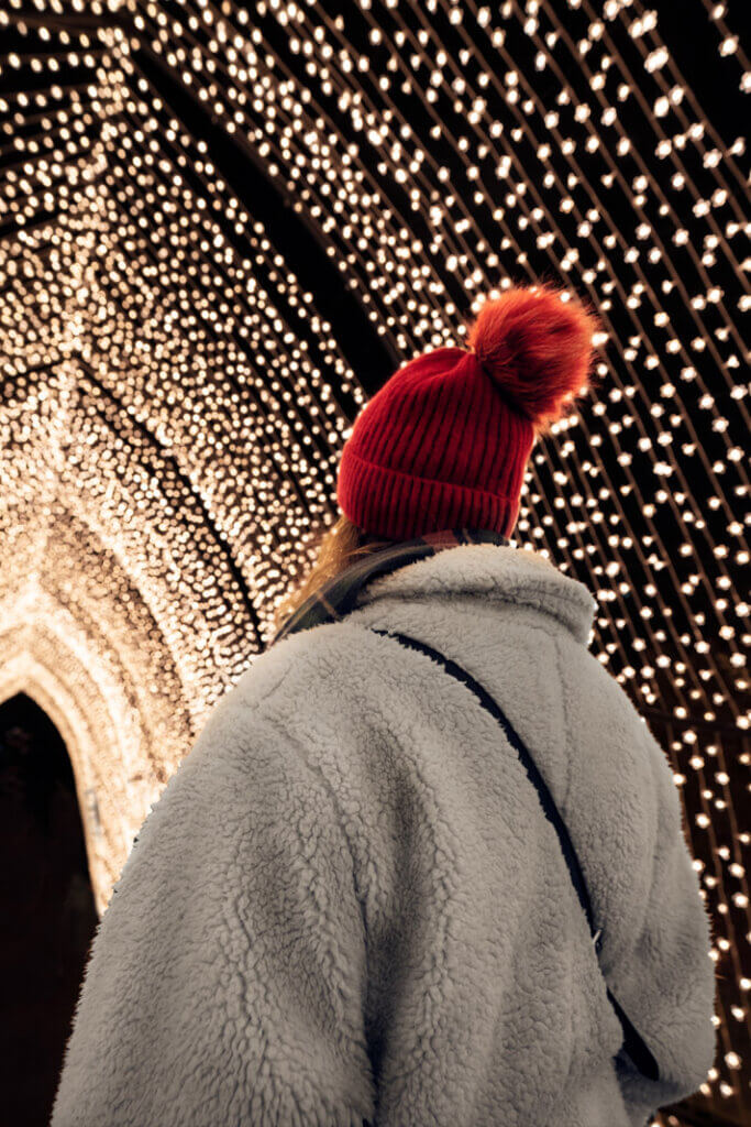 lightscape at brooklyn botanic garden during winter