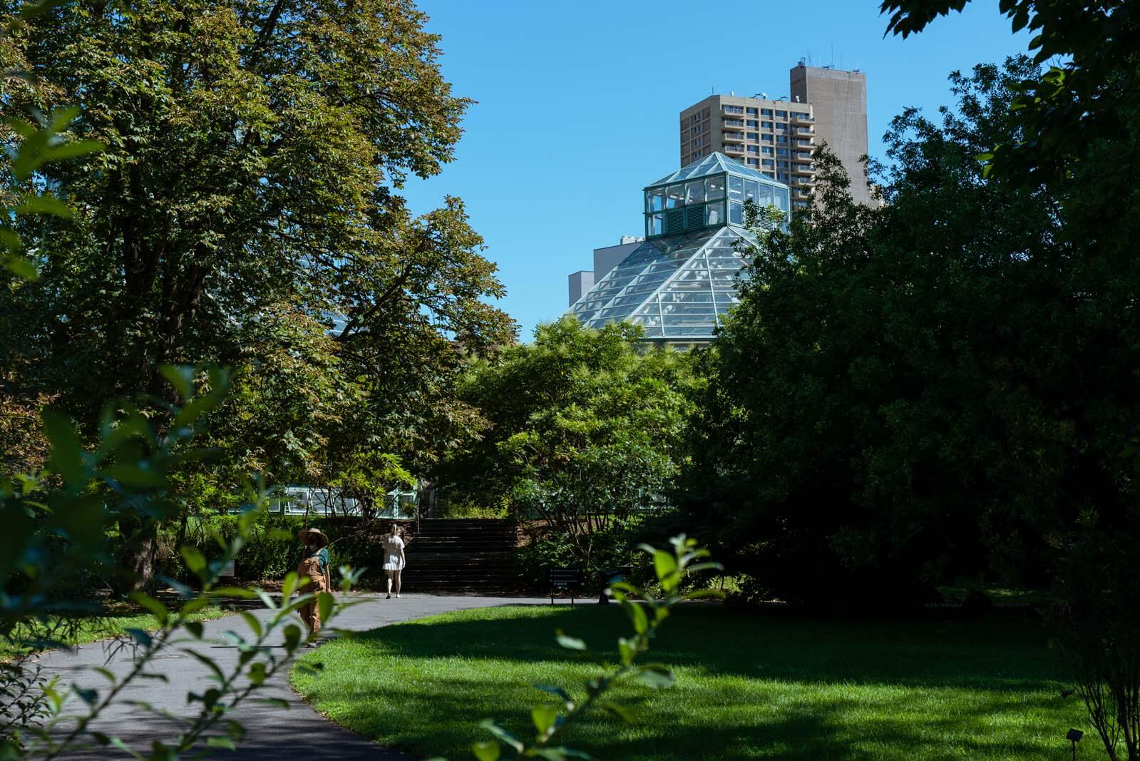 Everything You Need To Know Before Visiting Brooklyn Botanic Garden ...