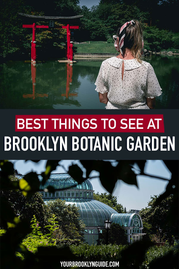 things-to-do-at-brooklyn-botanical