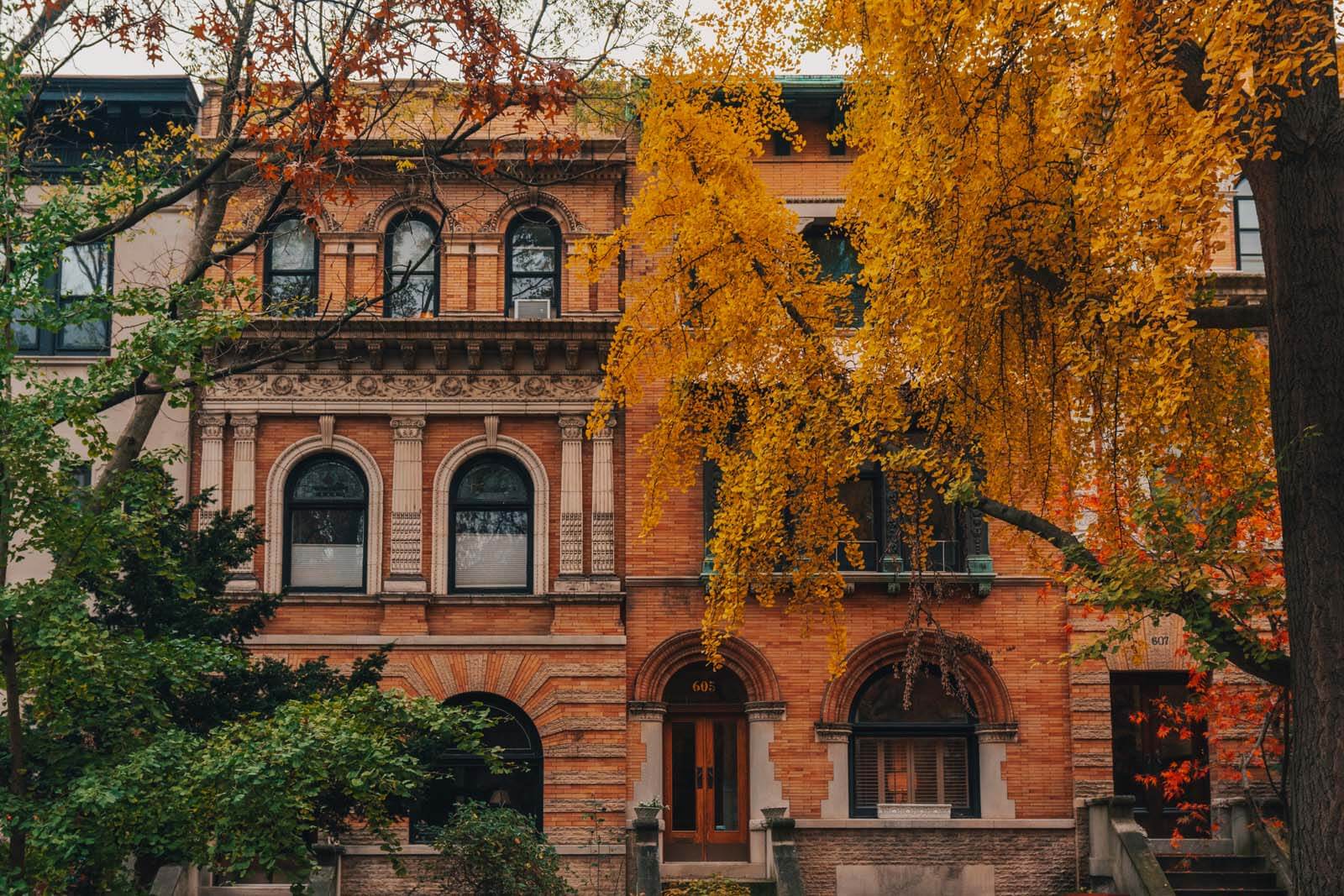 Park Slope Brownstones in the fall