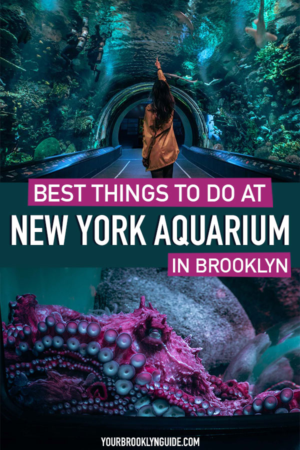 brooklyn-aquarium