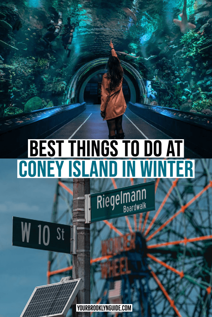 coney island in winter