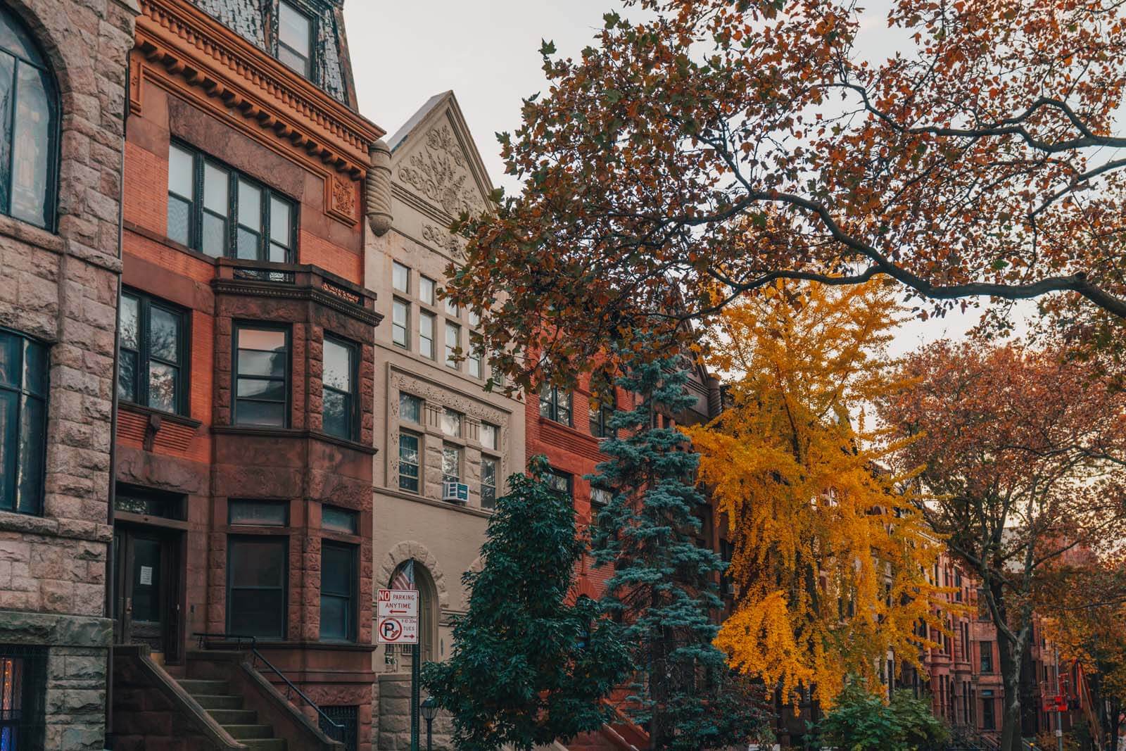 gorgeous row of homes in Park Slope Brooklyn