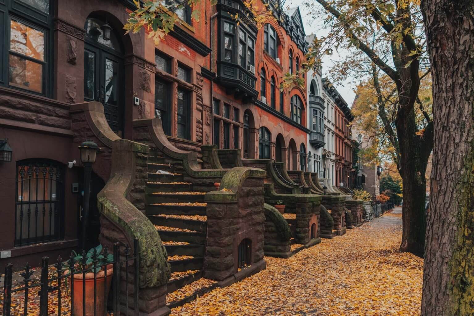 Things To Do In Prospect Heights Brooklyn Local S Guide Your   Pretty Steps And Details In Park Slope Brownstones In Brooklyn 1536x1024 