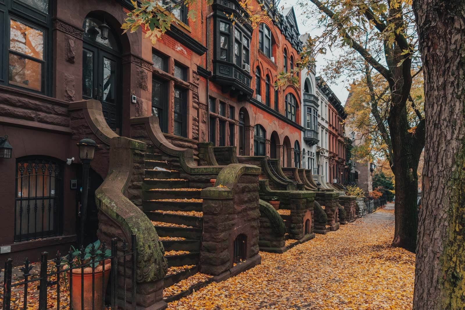 pretty steps and details in Park Slope Brownstones in Brooklyn