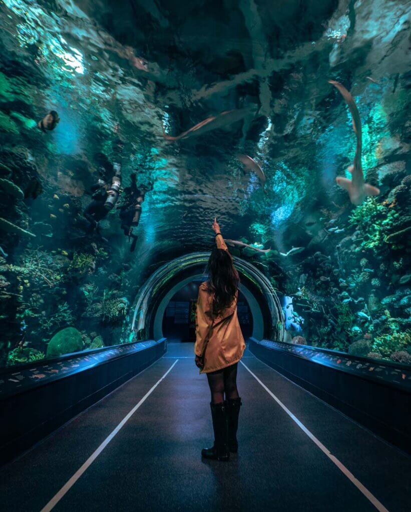 sharks swimming over megan at the new york aquarium at coney island in brooklyn