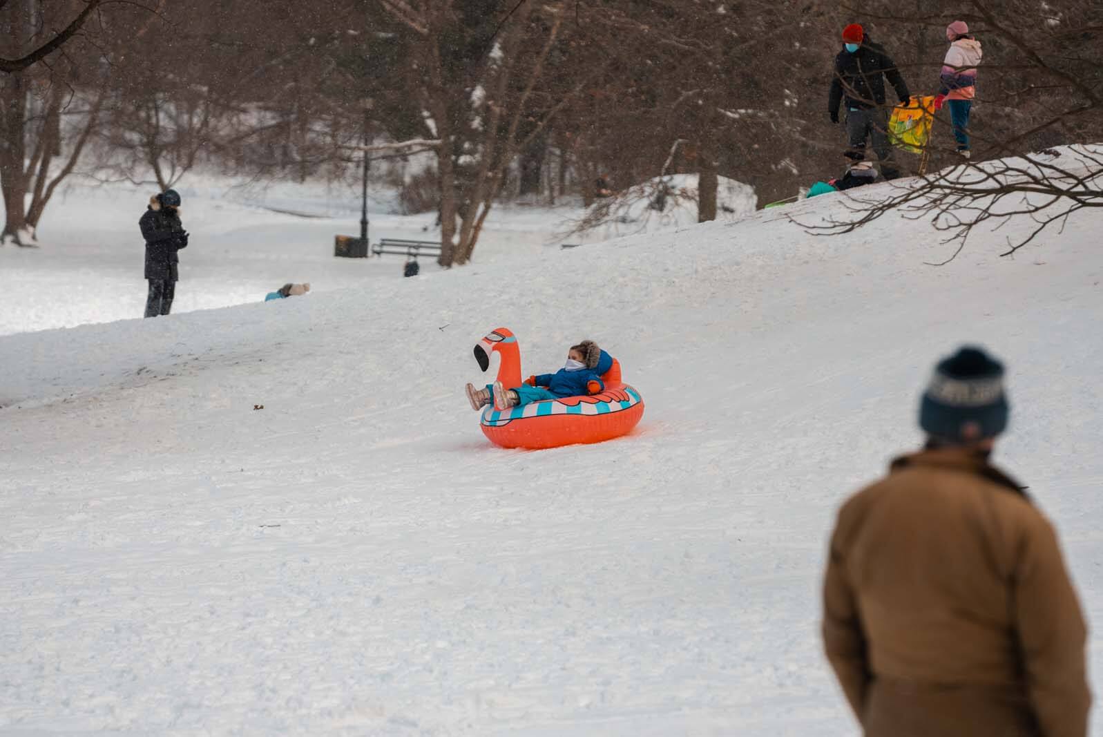 sledding in prospect park in the winter in nyc