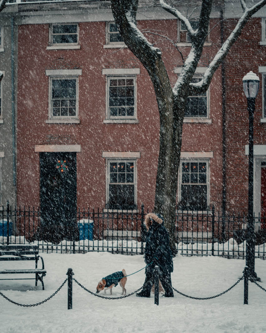 Cobble Hill Park on a snowy day and a dog walker in Brooklyn