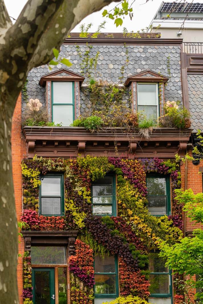 The living brownstone in Carroll Gardens in Brooklyn