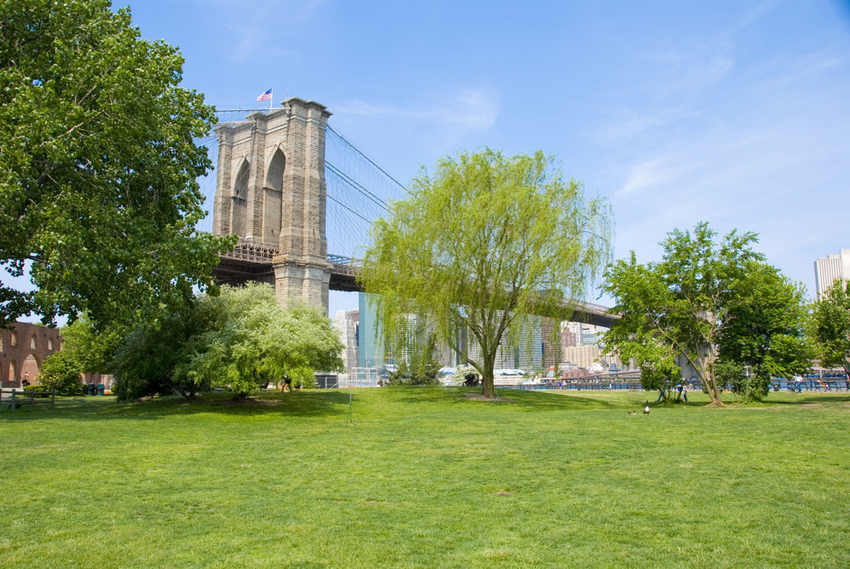 Brooklyn-Bridge-view-from-Brooklyn-Bridge-Park-in-the-summer