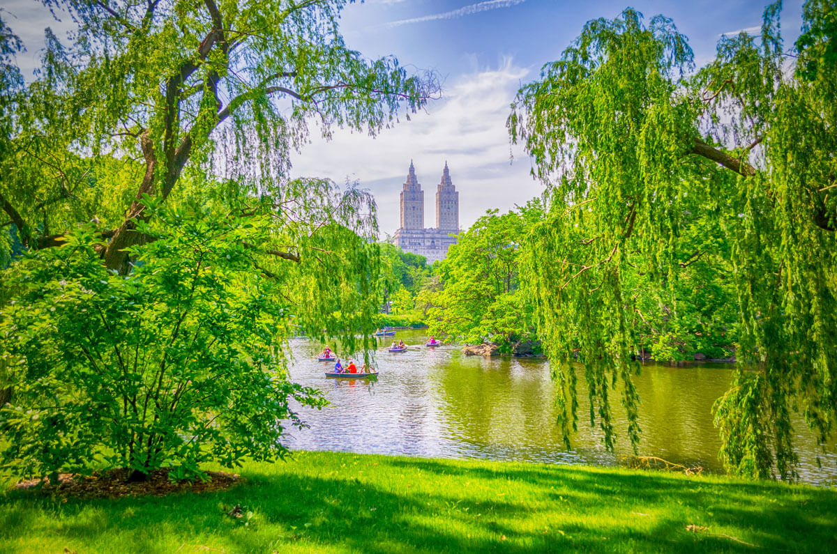 Central-Park-in-the-summer-view