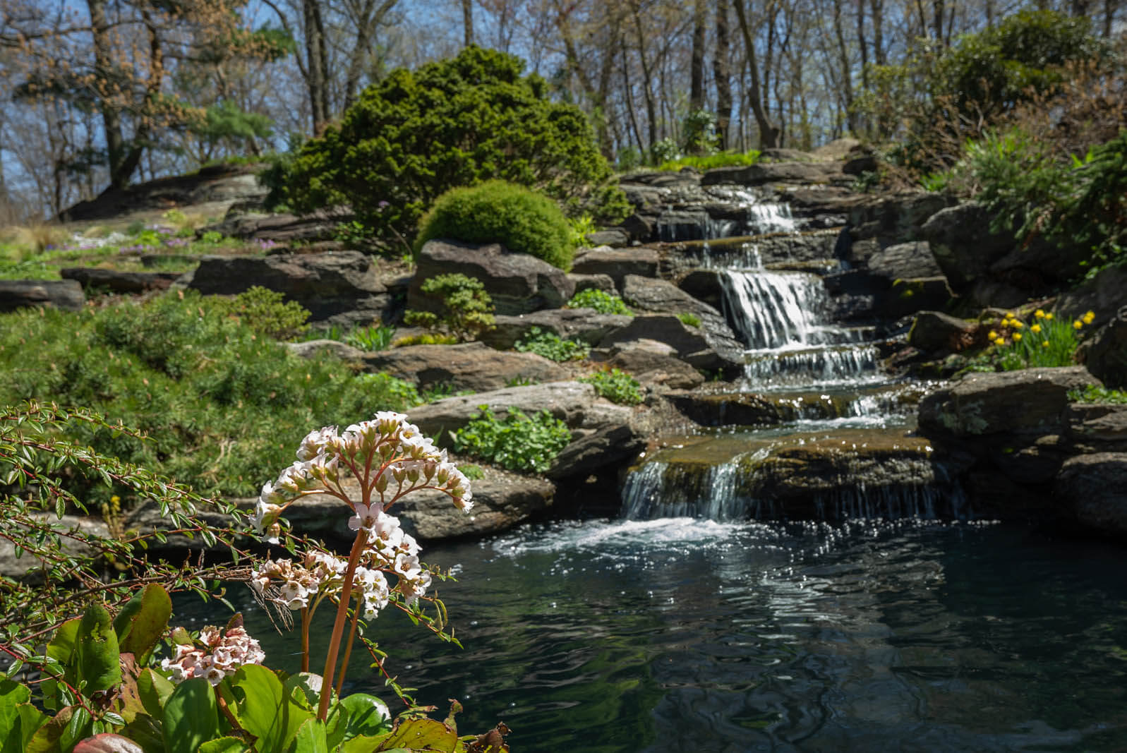 Rock Garden waterfalls in NYC at the New York Botanical Garden in the Bronx