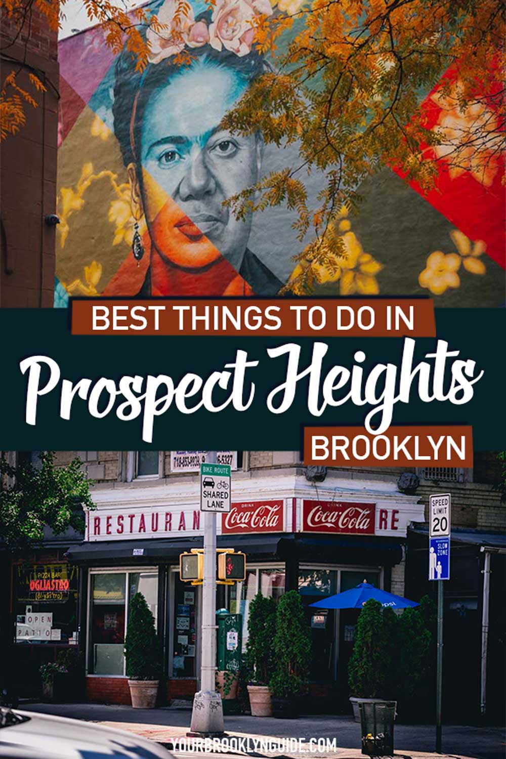 prospect-heights-brooklyn