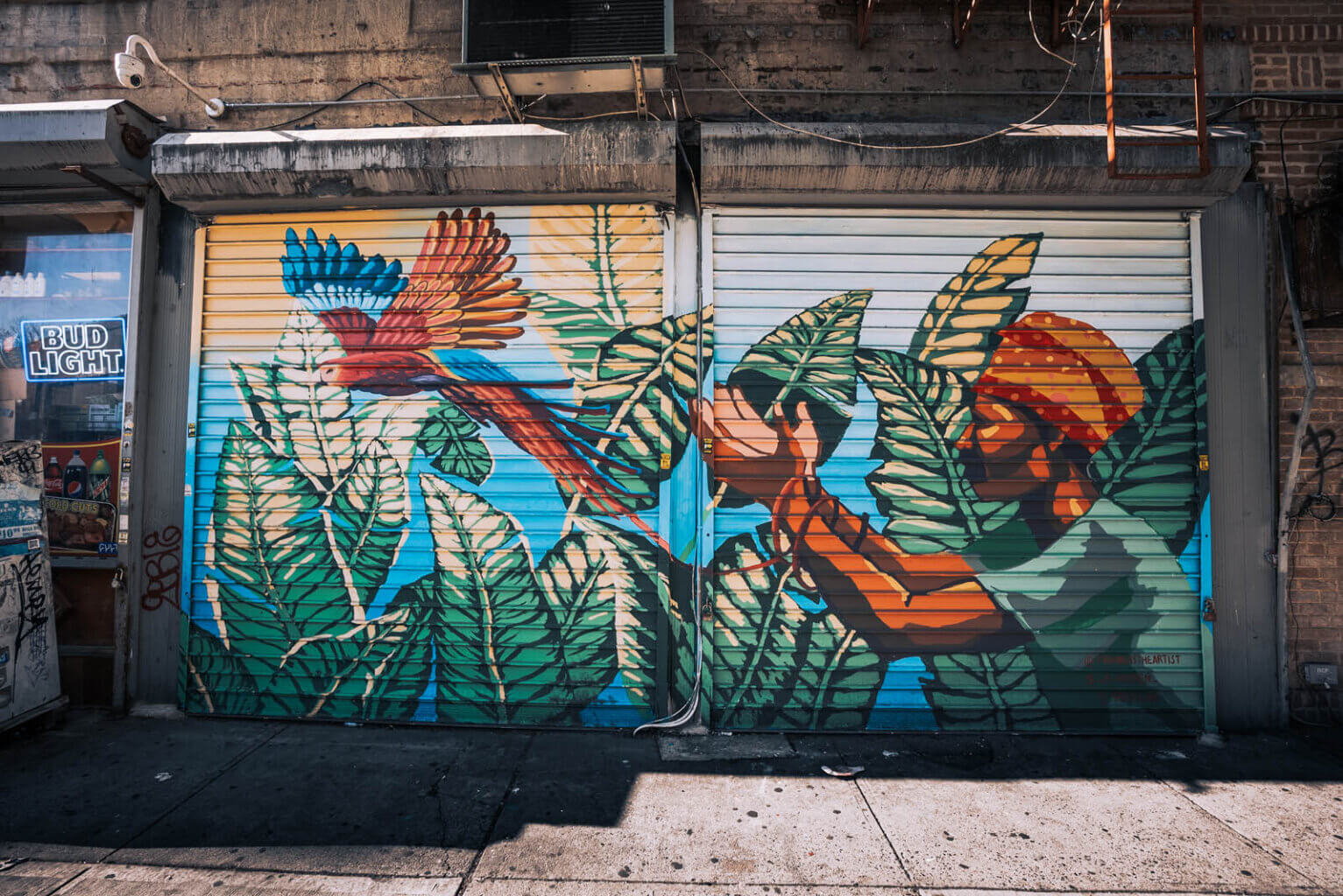 Colorful mural on Parkside Ave in Prospect Lefferts Gardens Brooklyn