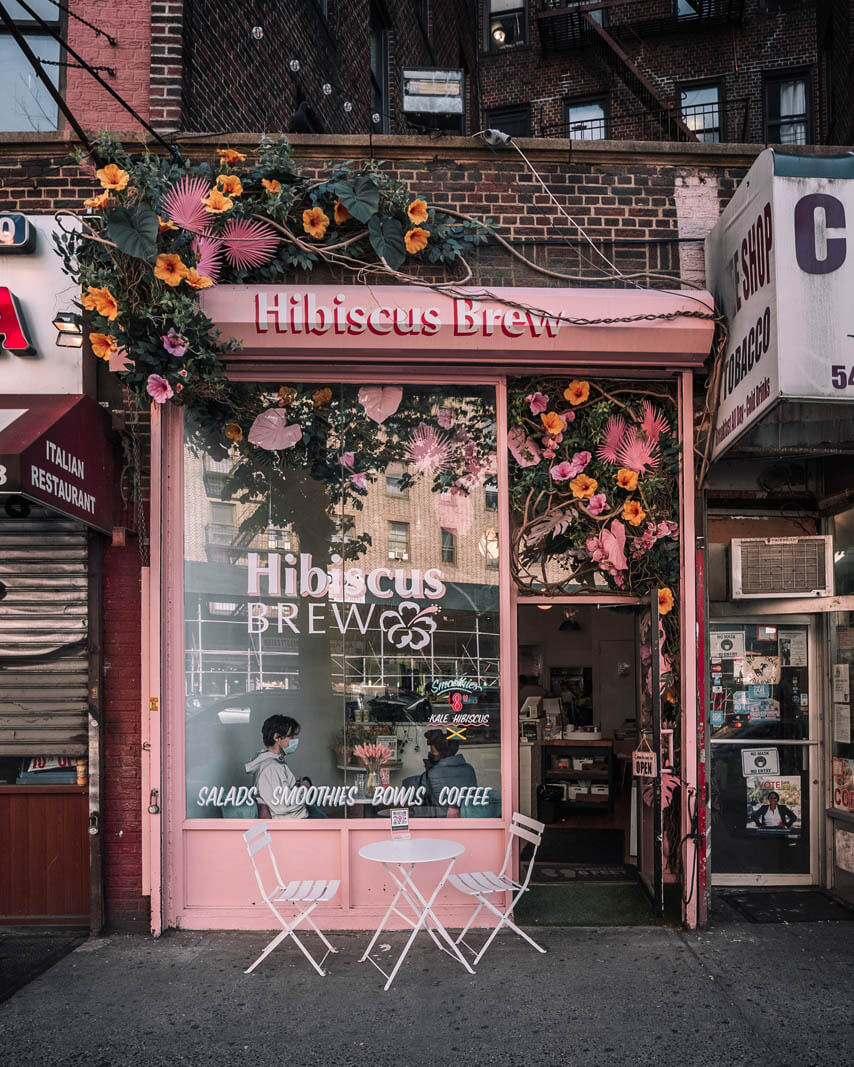 Hibiscus Brew on Flatbush Ave in Prospect Lefferts Gardens in Brooklyn