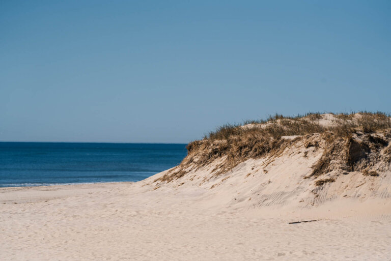 Guide to the Perfect Day Trip to the Hamptons from NYC (Without a Car)