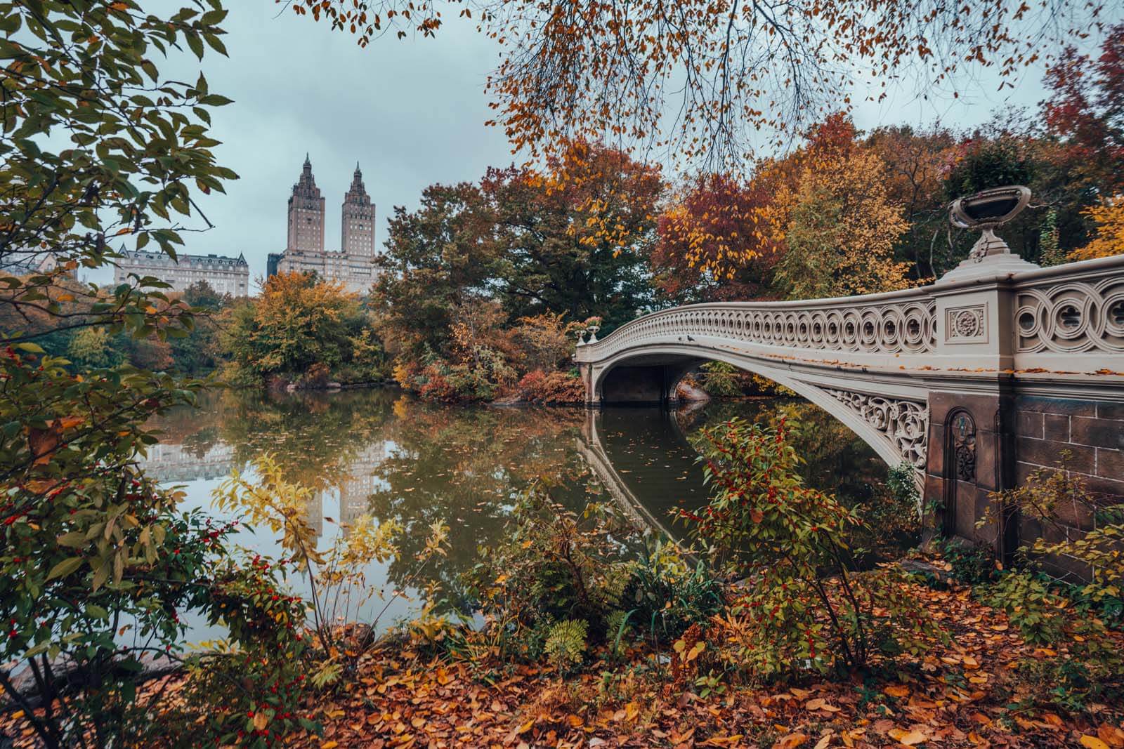 Central Park in the Fall in NYC