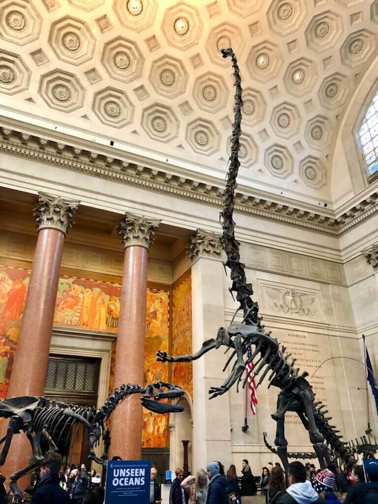 Inside-the-Museum-of-Natural-History-in-NYC