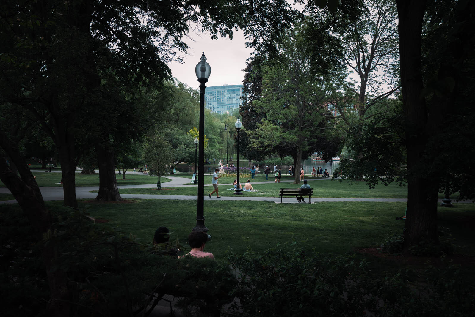 Boston Public Garden