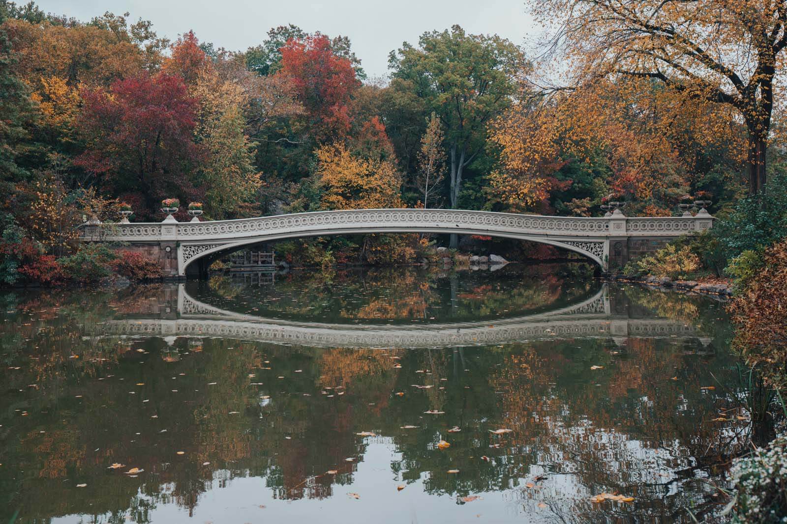 Bow Bridge in Central Park in the fall in NYC with colorful fall leaves