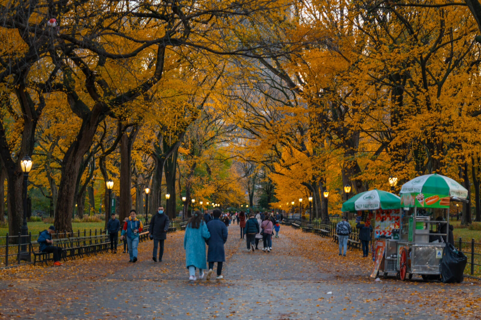 weather in new york in november