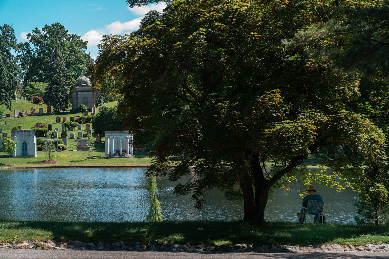 man sitting under a tree next to a lake in GreenWood Cemetery in Brooklyn