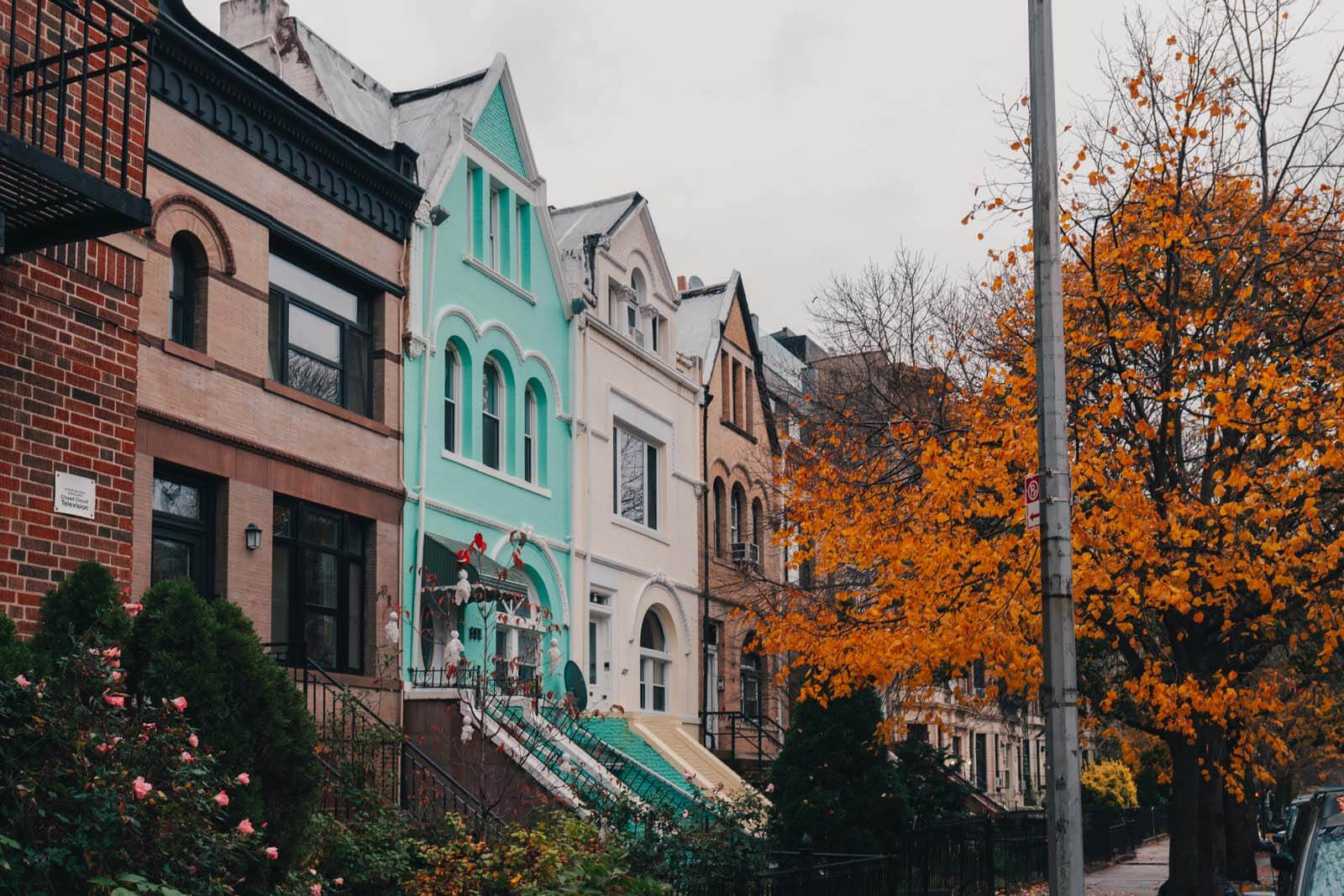 pretty row of homes in Crown Heights Brooklyn