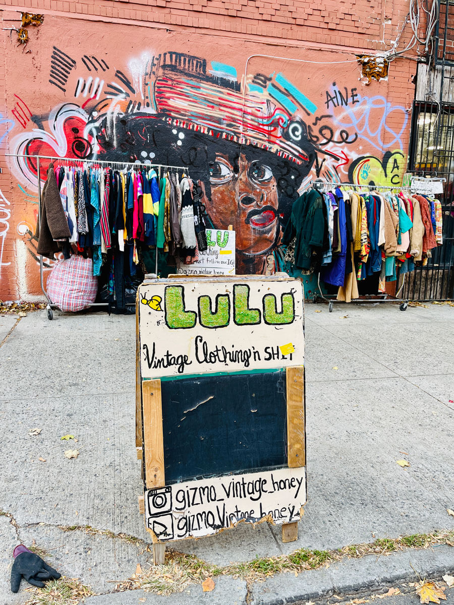 Lulu-Vintage-Clothing-vintage-shop-in-Bed-Stuy-Brooklyn