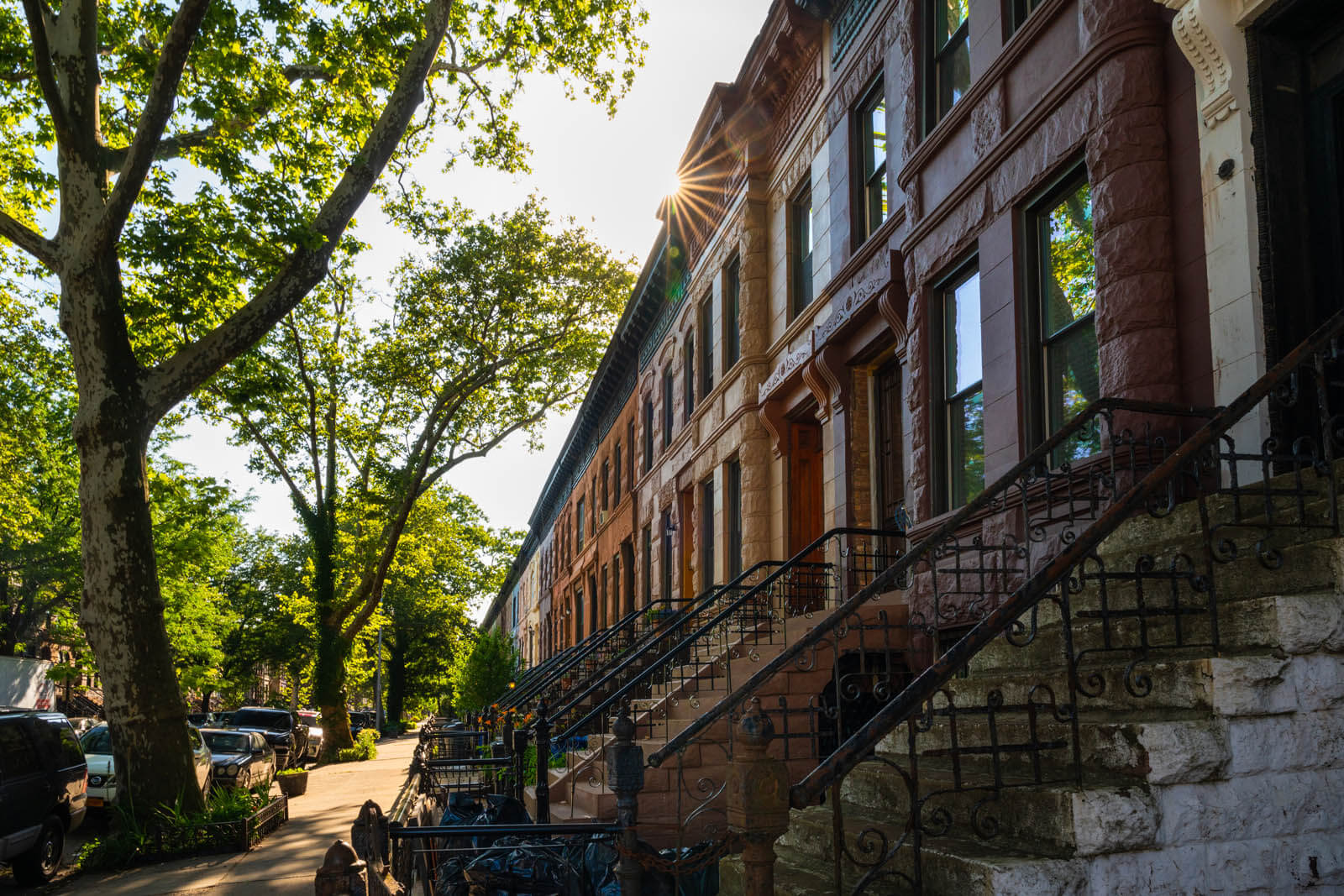 brownstones and homes in Bed Stuy Brooklyn