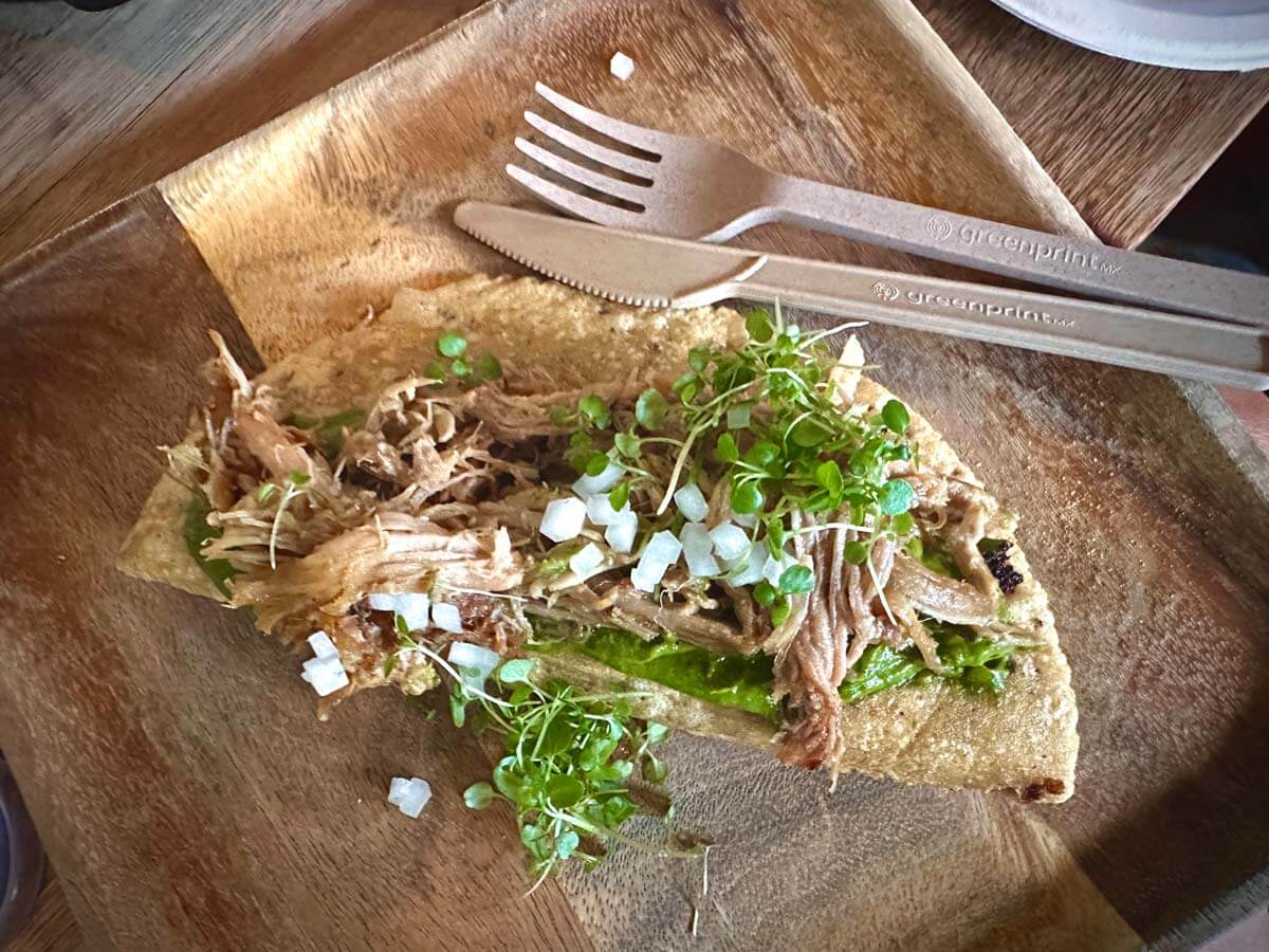 carnitas-tlacoyos-from-Parklife-BK-in-Gowanus-Brooklyn