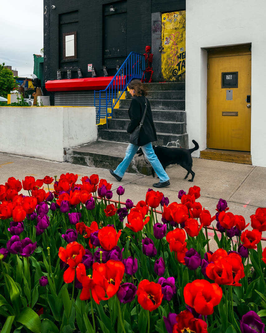 Artist House (ACE Fabrications) in the spring in Columbia Waterfront District in Brooklyn