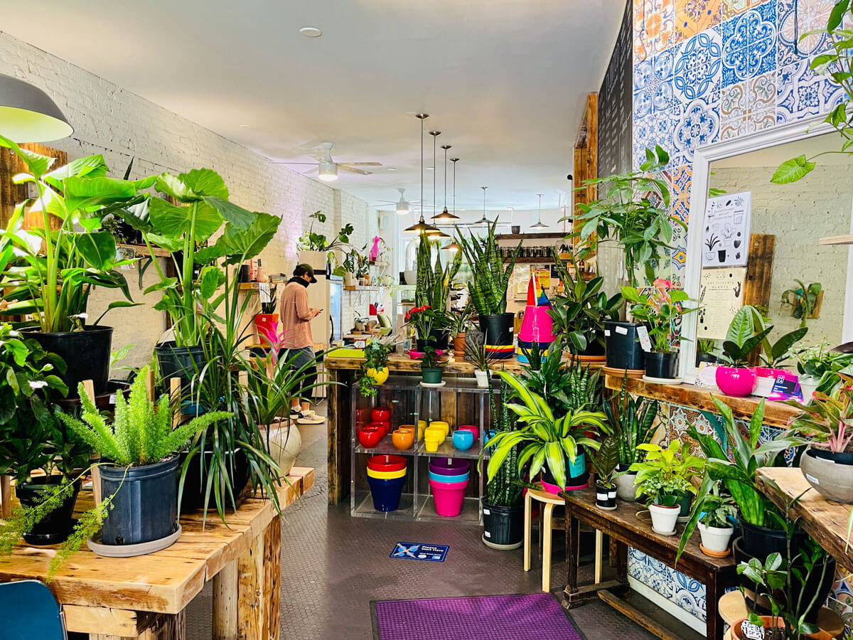 inside-planted-cafe-in-Carroll-Gardens-Brooklyn-a-plant-shop-and-coffee-shop-in-one