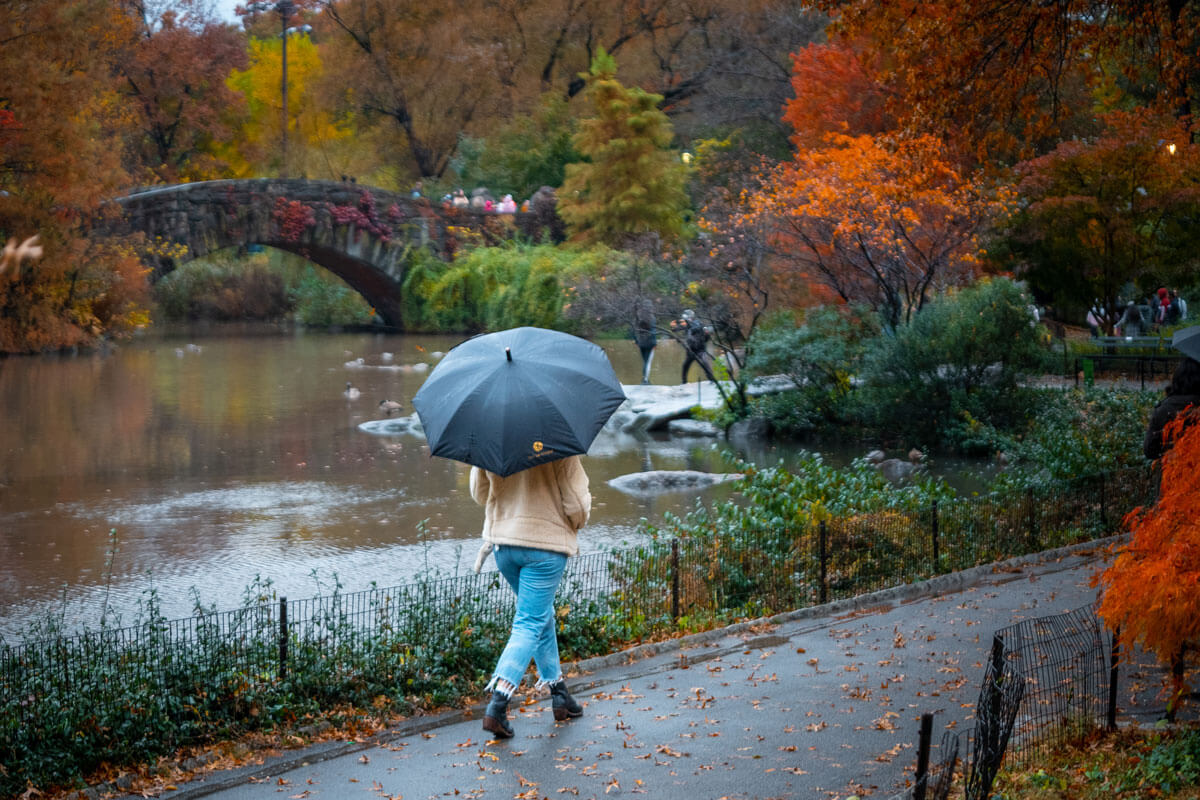 fall-foliage-in-Central-Park-in-November-in-NYC