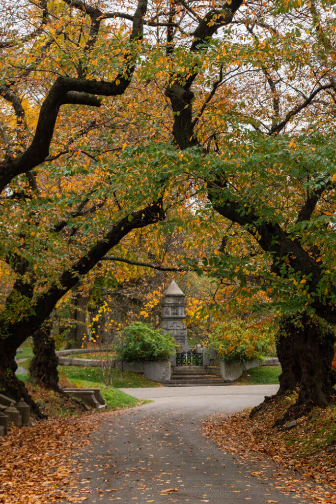 fall foliage in Green Wood Cemetery in Brooklyn