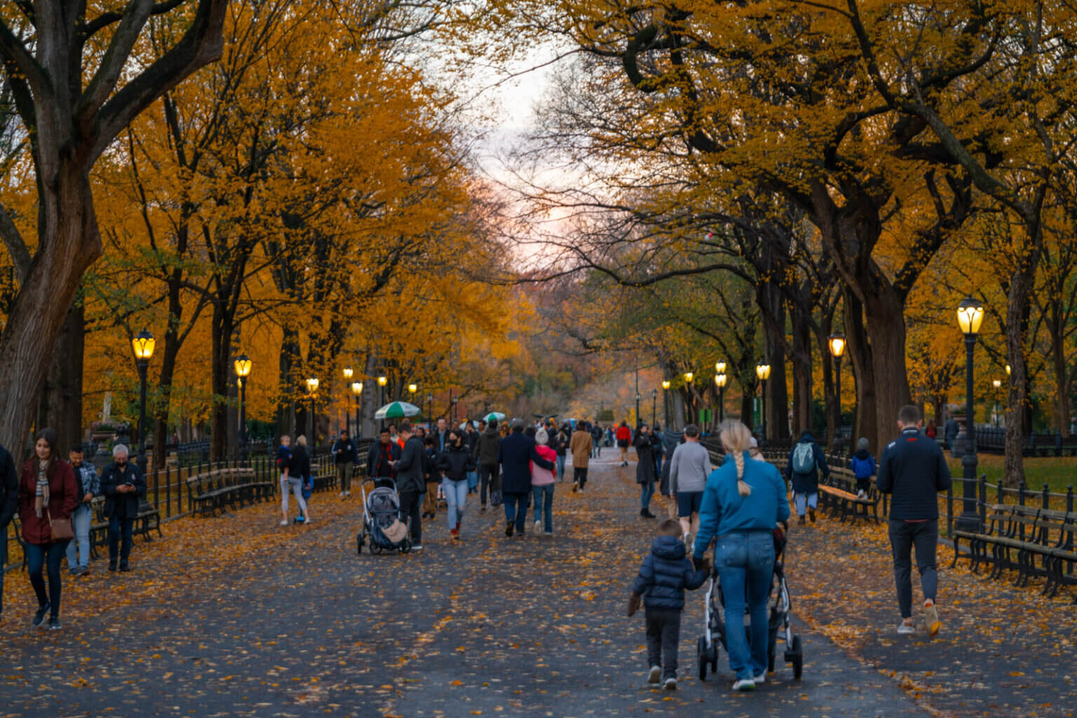 people strolling through Central Park during fall with fall leaves in NYC