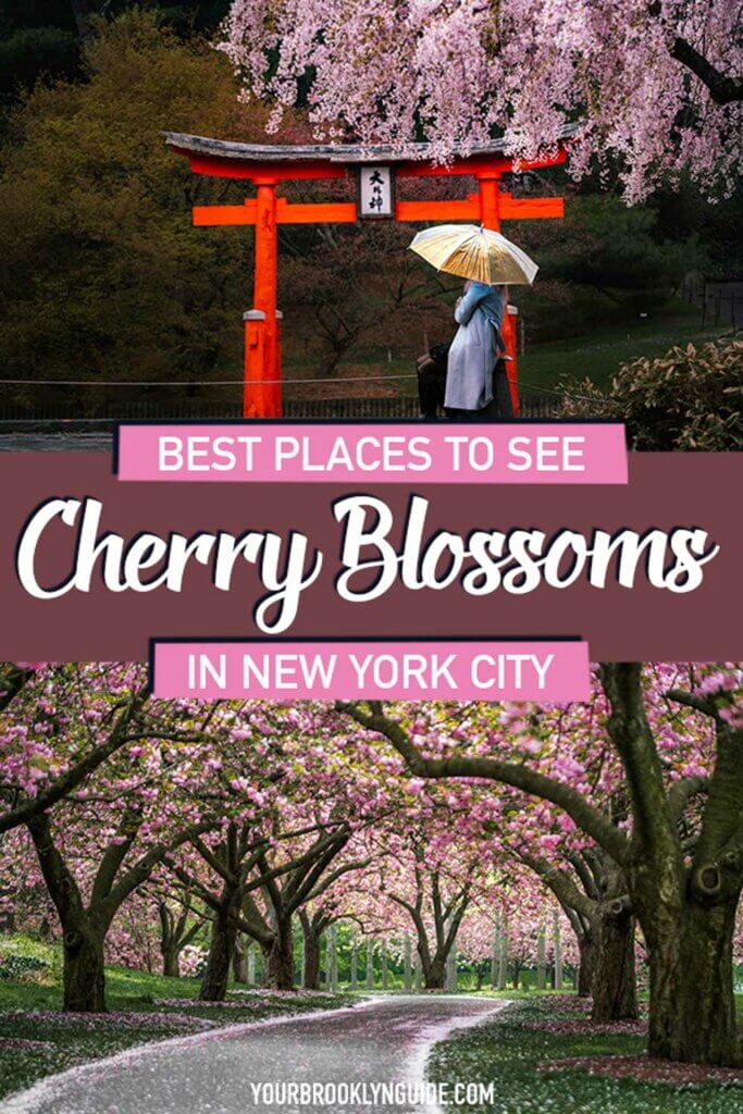 Best Parks to See Cherry Blossoms in New York City : NYC Parks