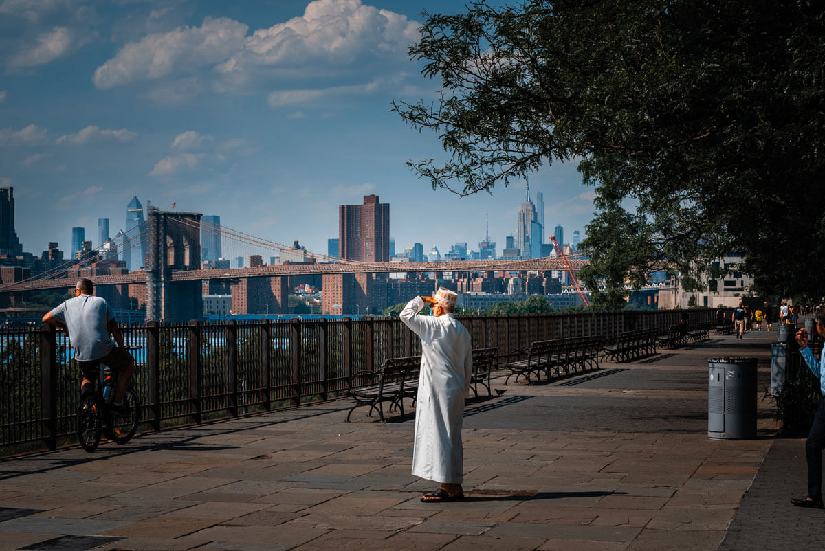 nyc-skyline-and-brooklyn-bridge-view-from-the-brooklyn-heights-promenade